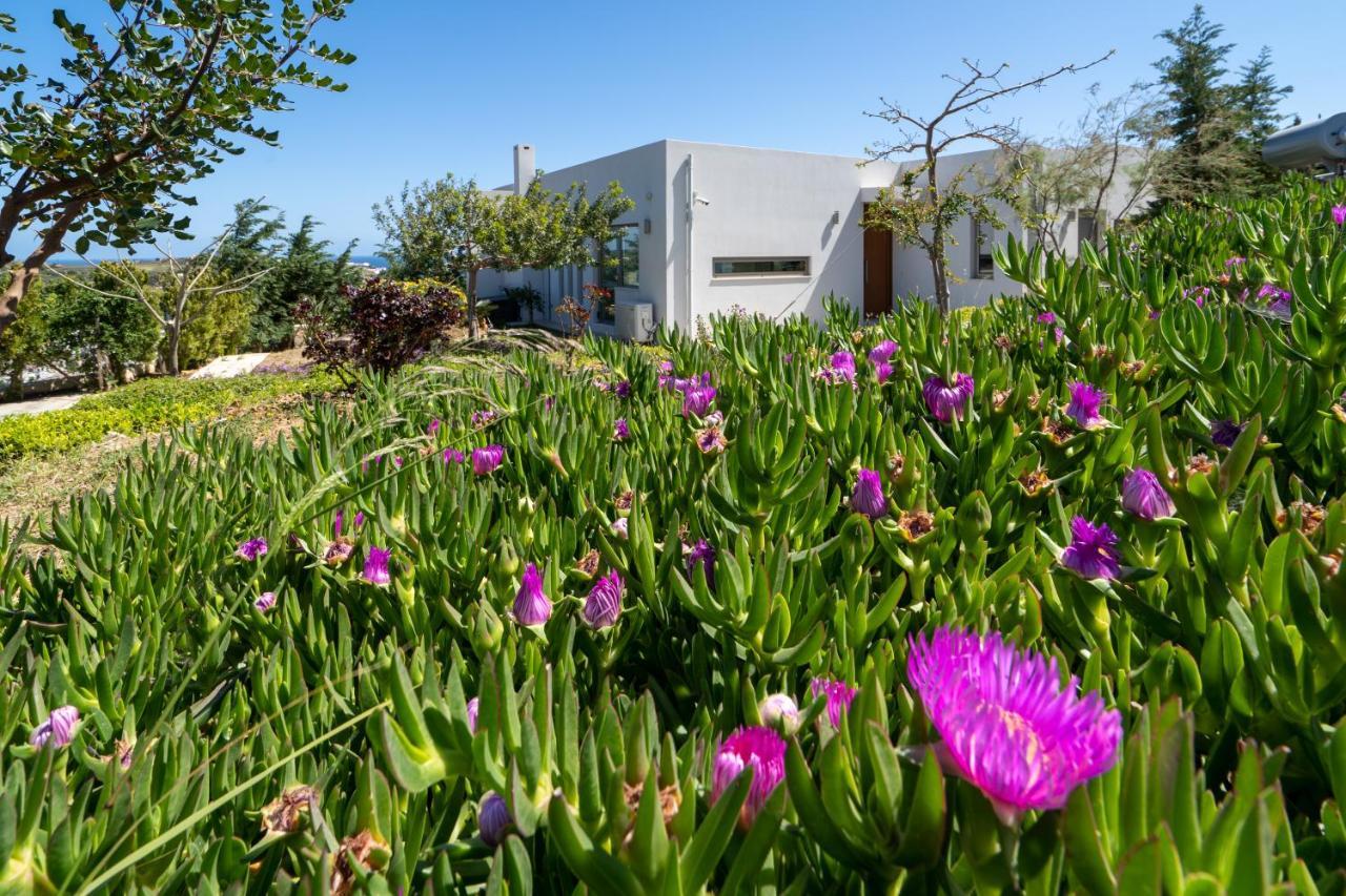 Sea View Villas Agia Pelagia Eksteriør bilde